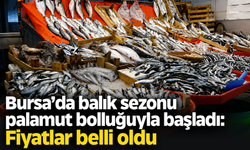 Bursa’da balık sezonu palamut bolluğuyla başladı: Fiyatlar belli oldu