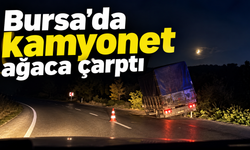 Bursa'da kamyonet ağaca çarptı !