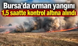Bursa’da orman yangını 1,5 saatte kontrol altına alındı