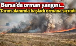 Bursa'da orman yangını...Tarım alanında başladı ormana sıçradı