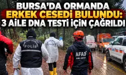 Bursa’da ormanda erkek cesedi bulundu: 3 aile DNA testi için çağrıldı