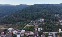 Bursa'nın o mahallesinde 'Ayı' korkusu