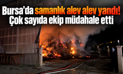 Bursa’da samanlık alev alev yandı! Çok sayıda ekip müdahale etti