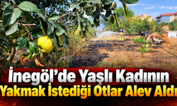 İnegöl’de Yaşlı Kadının Yakmak İstediği Otlar Alev Aldı