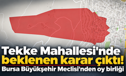 Tekke Mahallesi'nde beklenen karar çıktı! Bursa Büyükşehir Meclisi'nden oy birliği