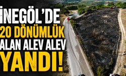 İnegöl'de 20 Dönümlük Alan Alev Alev Yandı!