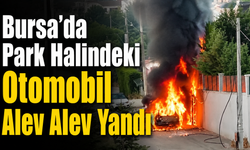Bursa’da Park Halindeki Otomobil Alev Alev Yandı