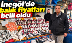 İnegöl’de balık fiyatları belli oldu