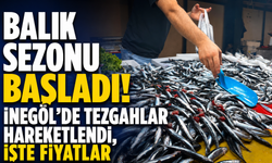 Balık sezonu başladı! İnegöl’de tezgahlar hareketlendi, işte fiyatlar