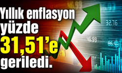 Yıllık enflasyon yüzde 31,51’e geriledi