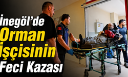 İnegöl’de Orman İşçisinin Feci Kazası
