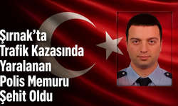 Şırnak’ta Trafik Kazasında Yaralanan Polis Memuru Şehit Oldu
