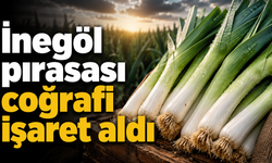 İnegöl pırasası coğrafi işaret aldı