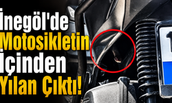 İnegöl'de Motosikletin İçinden Yılan Çıktı!