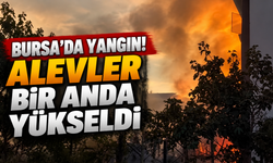 Bursa’da yangın! Alevler bir anda yükseldi