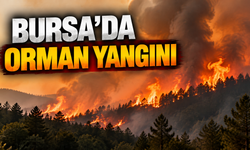 Bursa'da Orman Yangını
