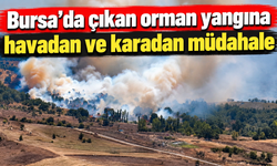 Bursa'da çıkan orman yangına havadan ve karadan müdahale