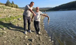Çınarcık Barajı’nı besleyen Kocasu Deresi’nde toplu balık ölümü