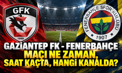 Gaziantep FK - Fenerbahçe maçı ne zaman, saat kaçta, hangi kanalda? Muhtemel 11’ler belli oldu