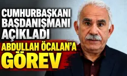 Cumhurbaşkanı başdanışmanı açıkladı Abdullah Öcalan'a görev