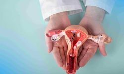 Folikül Nedir? Folikül Türleri Ve Bozuklukları Nelerdir?