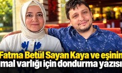 Fatma Betül Sayan Kaya ve eşinin mal varlığı için dondurma yazısı