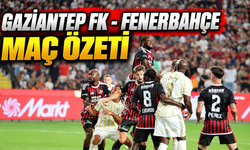 Gaziantep FK - Fenerbahçe maç özeti