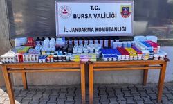 Bursa’da kaçakçılık operasyonu: 1,5 milyon liralık kuş ilacı ele geçirildi