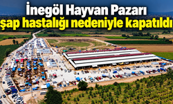 İnegöl Hayvan Pazarı şap hastalığı nedeniyle kapatıldı