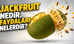 Tropik Meyvelerin Devlerinden Biri! Jackfruit Nedir, Faydaları Nelerdir?