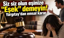 Siz siz olun eşinize "Eşek" demeyin! Yargıtay'dan emsal karar