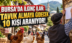 BURSA’DA İLGİNÇ İLAN: TAVUK ALMAYA GİDECEK 10 KİŞİ ARANIYOR!