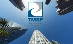 Tasarruf Mevduatı Sigorta Fonu (TMSF) nedir? TMSF ne işe yarar?
