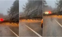 Uludağ yolunda heyelan: Yol yeniden ulaşıma açıldı