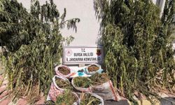 Bursa'da yasaklı madde operasyonu 22 kilo 675 gram yasaklı madde ele geçirildi