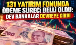 131 yatırım fonunda ödeme süreci belli oldu: Dev bankalar devreye girdi