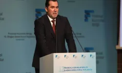 Ali Emre Ballı kimdir, kaç yaşında,nereli? Ali Emre Ballı ne iş yapıyor ? Ali Emre Ballı neden öldü?
