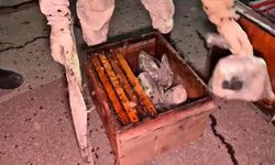 Arı kovanlarına gizlediler, 91,1 kilo uyuşturucu çıktı!