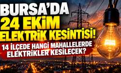 Bursa'da 24 Ekim elektrik kesintisi! 14 ilçede hangi mahallelerde elektrikler kesilecek?