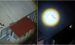 Bursa'da ilginç olay! Evin çatısına çıkan tilkiyi fenerle uzaklaştırdılar
