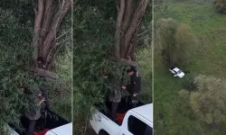 Bursa'da kaçak avcılığa geçit yok! İznik Gölü'nde yasaklı cihaz ele geçirildi