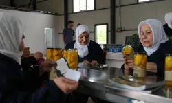 Bursa'da kadınların el emeğiyle yeni nesil turşu üretimi başladı! İçinde yok yok