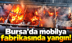 Bursa’da mobilya fabrikasında yangın!