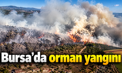 Bursa’da orman yangını : Ekipler seferber oldu