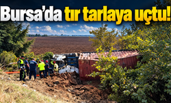 Bursa’da tır tarlaya uçtu!
