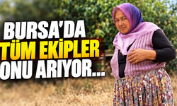 Bursa'da tüm ekipler onu arıyor...
