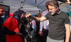 Bursa’da Yuvalandırma Şenliği düzenlendi