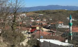 Bursa'nın bu mahallesine ilgi artıyor! Göl manzaralı arazilerin dönümü 1 milyon TL'den başlıyor