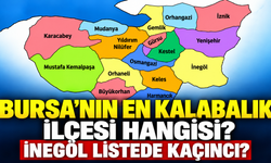 Bursa’nın en kalabalık ilçesi hangisi? İnegöl listede kaçıncı?