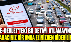 e-Devlet'teki bu detayı atlamayın! Aracınız bir anda elinizden gidebilir
